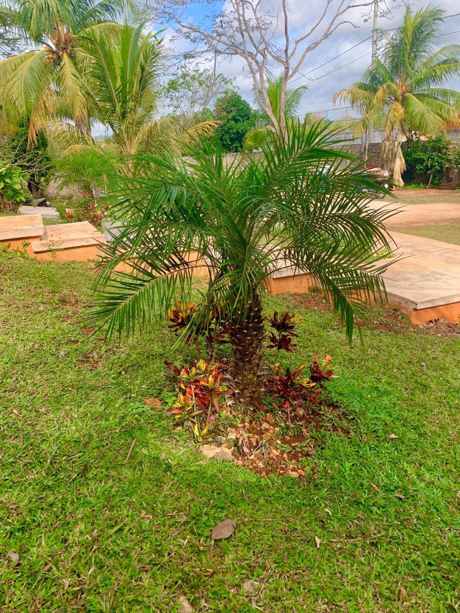 Quinta Yaaxbe Villa Homun ภายนอก รูปภาพ