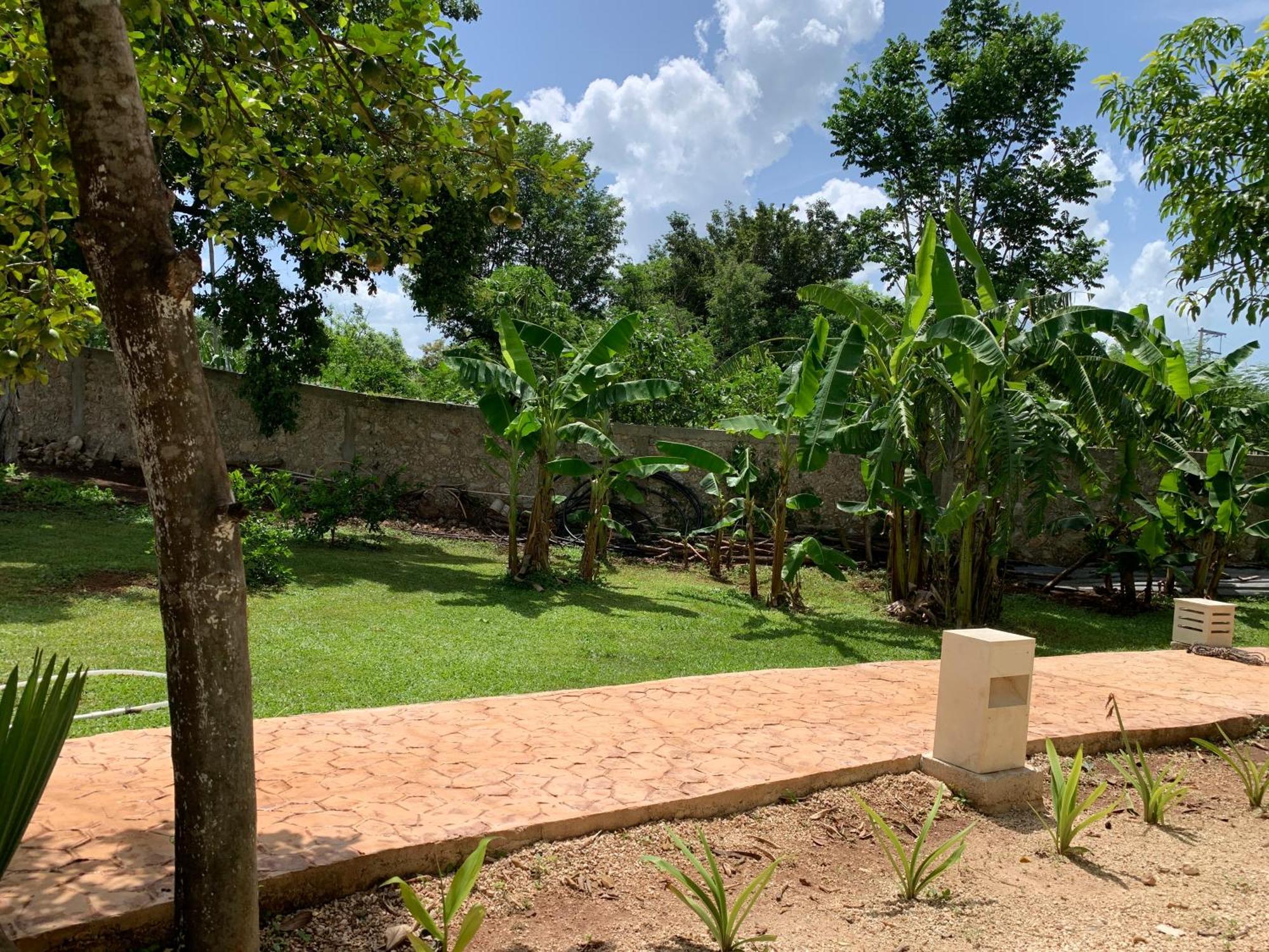 Quinta Yaaxbe Villa Homun ภายนอก รูปภาพ