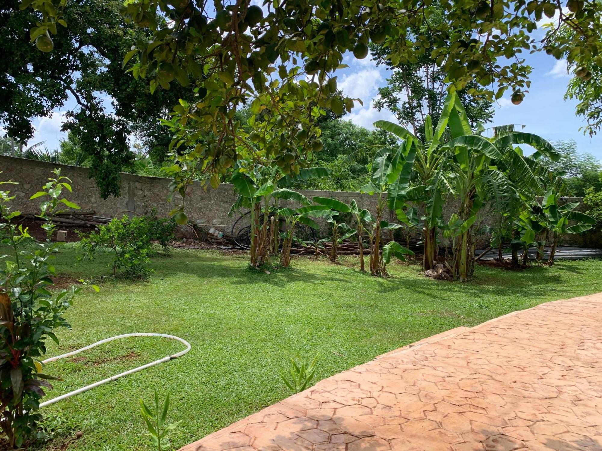 Quinta Yaaxbe Villa Homun ภายนอก รูปภาพ
