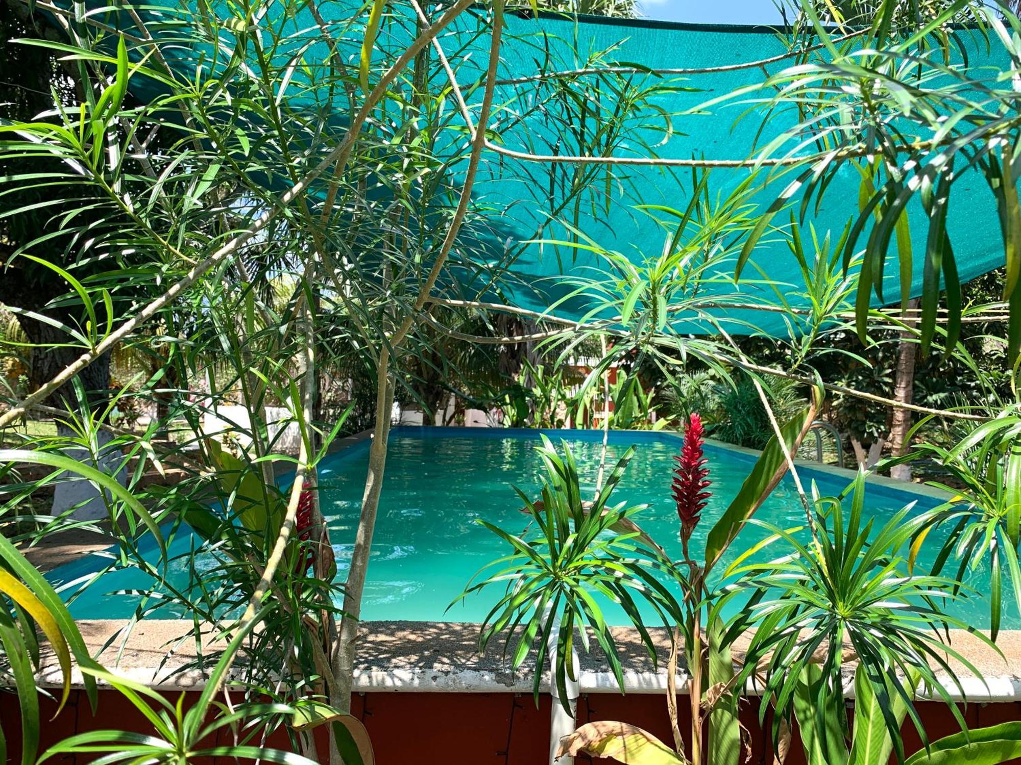 Quinta Yaaxbe Villa Homun ภายนอก รูปภาพ